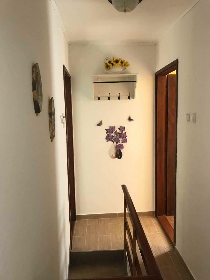 Apartma Evi Zaga Екстериор снимка